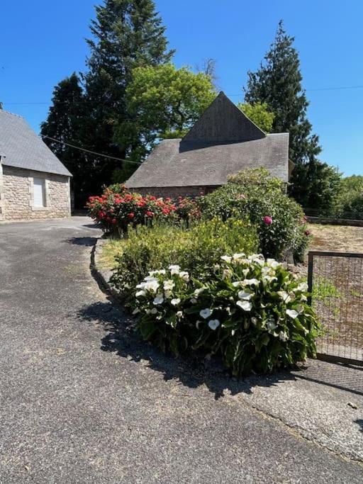 Gite Du Dolmen Guiscriff Exterior foto